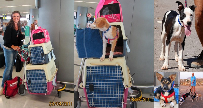 vlucht 28-8-11